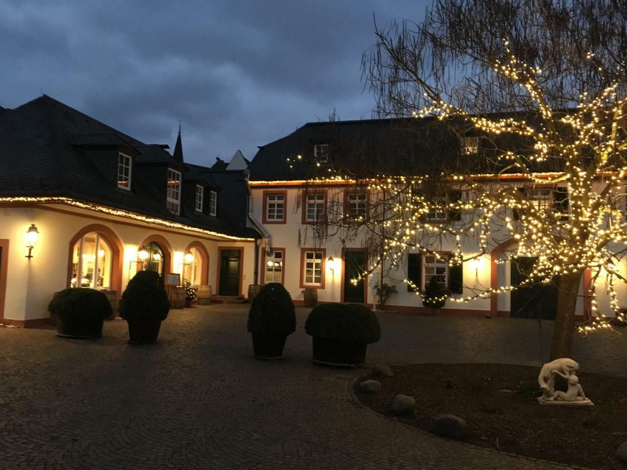 Bed and Breakfast Residenz Weingut Schloss Reinhartshausen Эльтвилле Экстерьер фото